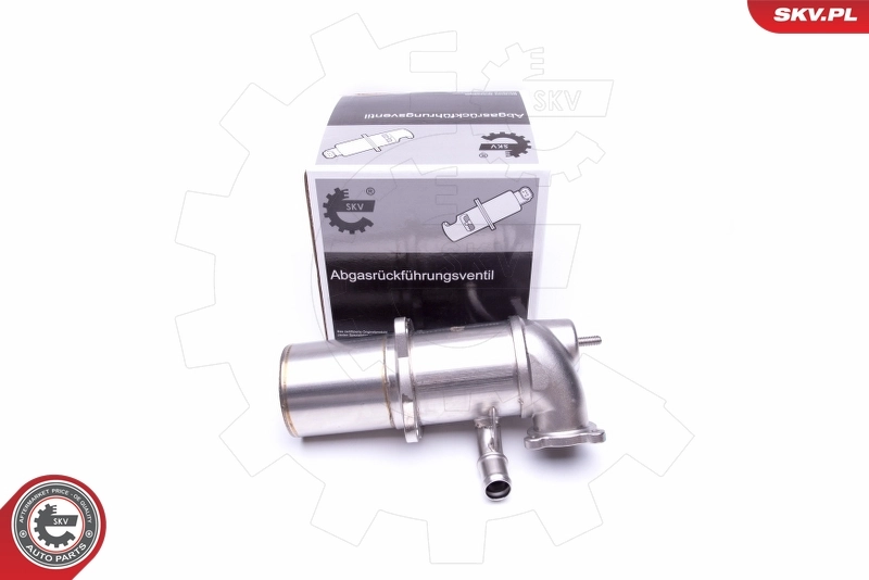 EGR Valve